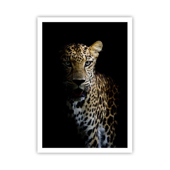 Obraz - Plakat - Mroczne piękno - 70x100cm - Zwierzęta Lampart Dziki Kot - Foto Plakaty bez ramy na ścianę do Salonu Sypialni ARTTOR ARTTOR