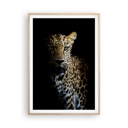 Obraz - Plakat - Mroczne piękno - 70x100cm - Zwierzęta Lampart Dziki Kot - Foto Plakaty w ramie koloru jasny dąb do Salonu Sypialni ARTTOR ARTTOR