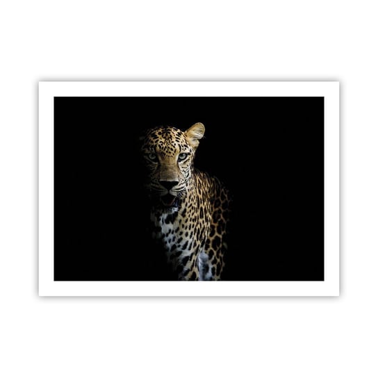Obraz - Plakat - Mroczne piękno - 70x50cm - Zwierzęta Lampart Dziki Kot - Nowoczesny modny obraz Plakat bez ramy do Salonu Sypialni ARTTOR ARTTOR