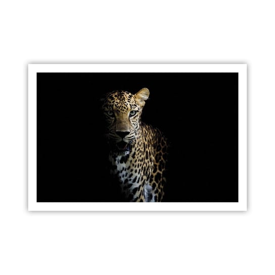 Obraz - Plakat - Mroczne piękno - 91x61cm - Zwierzęta Lampart Dziki Kot - Foto Plakaty na ścianę bez ramy - Plakat do Salonu Sypialni ARTTOR ARTTOR