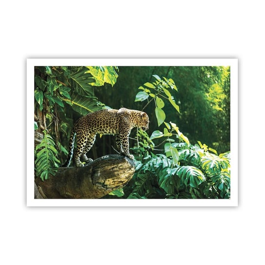 Obraz - Plakat - Na łowy? - 100x70cm - Dżungla Lampart Tropiki - Foto Plakaty bez ramy na ścianę do Salonu Sypialni ARTTOR ARTTOR