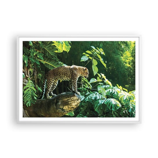 Obraz - Plakat - Na łowy? - 100x70cm - Dżungla Lampart Tropiki - Foto Plakaty w ramie koloru białego do Salonu Sypialni ARTTOR ARTTOR