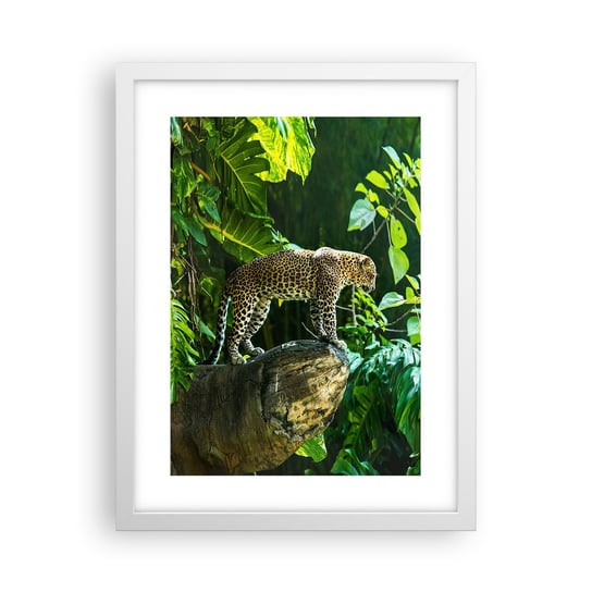 Obraz - Plakat - Na łowy? - 30x40cm - Dżungla Lampart Tropiki - Foto Plakaty na ścianę w ramie białej - Plakat do Salonu Sypialni ARTTOR ARTTOR
