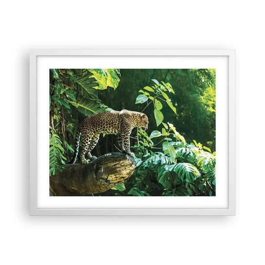 Obraz - Plakat - Na łowy? - 50x40cm - Dżungla Lampart Tropiki - Foto Plakaty w ramie koloru białego do Salonu Sypialni ARTTOR ARTTOR