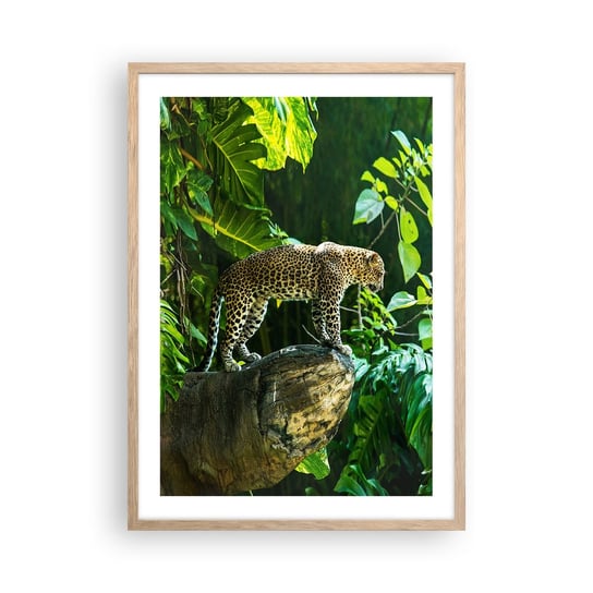 Obraz - Plakat - Na łowy? - 50x70cm - Dżungla Lampart Tropiki - Nowoczesny modny obraz Plakat rama jasny dąb ARTTOR ARTTOR