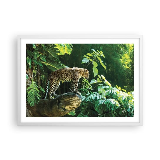 Obraz - Plakat - Na łowy? - 70x50cm - Dżungla Lampart Tropiki - Nowoczesny modny obraz Plakat rama biała ARTTOR ARTTOR