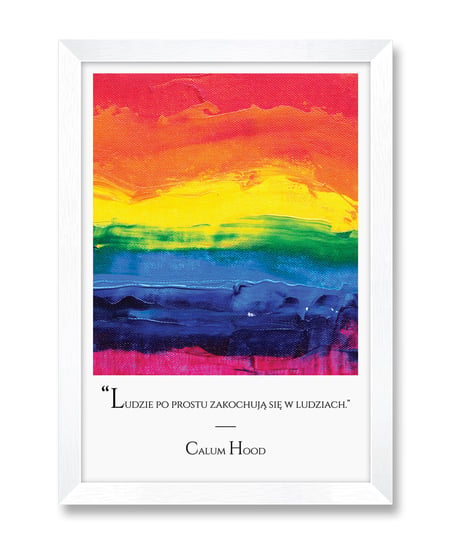 Obraz plakat na ścianę rama flaga społeczność LGBT cytat o równości równouprawnienie Calum Hood biała rama 23,5x32 cm iWALL studio