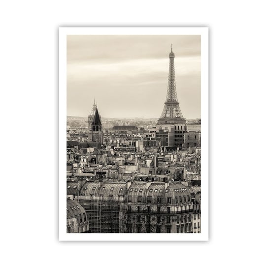 Obraz - Plakat - Nad dachami Paryża - 70x100cm - Miasto Paryż Architektura - Foto Plakaty bez ramy na ścianę do Salonu Sypialni ARTTOR ARTTOR