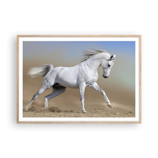Obraz - Plakat - Najpiękniejsza arabska baśń - 100x70cm - Koń Zwierzęta Galop - Foto Plakaty w ramie koloru jasny dąb do Salonu Sypialni ARTTOR ARTTOR