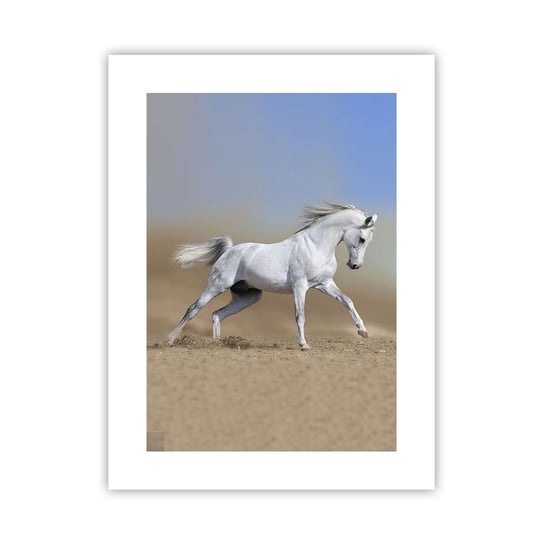 Obraz - Plakat - Najpiękniejsza arabska baśń - 30x40cm - Koń Zwierzęta Galop - Foto Plakaty na ścianę bez ramy - Plakat do Salonu Sypialni ARTTOR ARTTOR