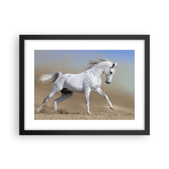 Obraz - Plakat - Najpiękniejsza arabska baśń - 40x30cm - Koń Zwierzęta Galop - Foto Plakaty na ścianę w czarnej ramie - Plakat do Salonu Sypialni ARTTOR ARTTOR