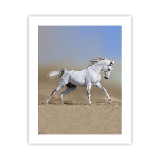 Obraz - Plakat - Najpiękniejsza arabska baśń - 40x50cm - Koń Zwierzęta Galop - Foto Plakaty bez ramy do Salonu Sypialni ARTTOR ARTTOR