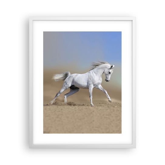 Obraz - Plakat - Najpiękniejsza arabska baśń - 40x50cm - Koń Zwierzęta Galop - Foto Plakaty w ramie koloru białego do Salonu Sypialni ARTTOR ARTTOR