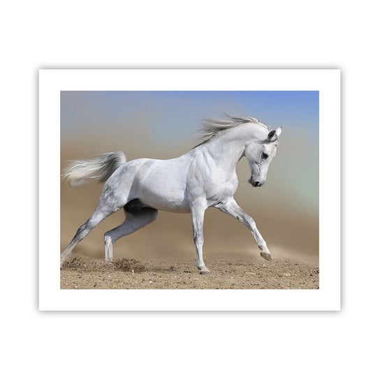 Obraz - Plakat - Najpiękniejsza arabska baśń - 50x40cm - Koń Zwierzęta Galop - Foto Plakaty bez ramy do Salonu Sypialni ARTTOR ARTTOR