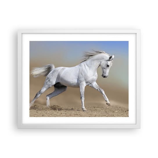 Obraz - Plakat - Najpiękniejsza arabska baśń - 50x40cm - Koń Zwierzęta Galop - Foto Plakaty w ramie koloru białego do Salonu Sypialni ARTTOR ARTTOR