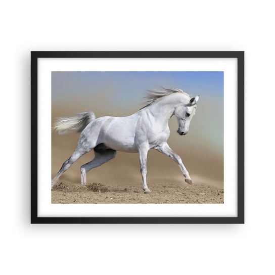 Obraz - Plakat - Najpiękniejsza arabska baśń - 50x40cm - Koń Zwierzęta Galop - Foto Plakaty w ramie koloru czarnego do Salonu Sypialni ARTTOR ARTTOR