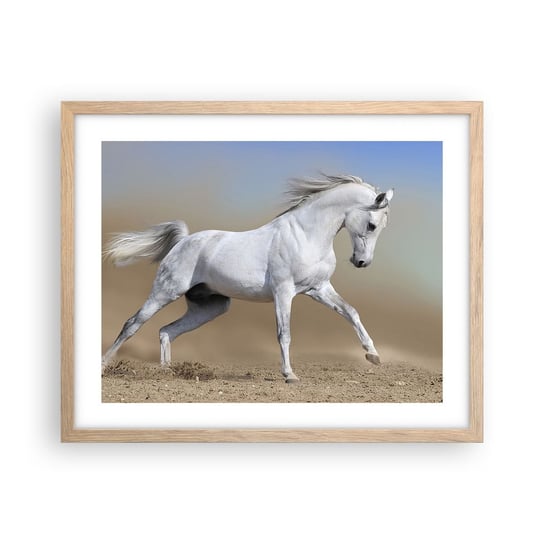 Obraz - Plakat - Najpiękniejsza arabska baśń - 50x40cm - Koń Zwierzęta Galop - Foto Plakaty w ramie koloru jasny dąb do Salonu Sypialni ARTTOR ARTTOR