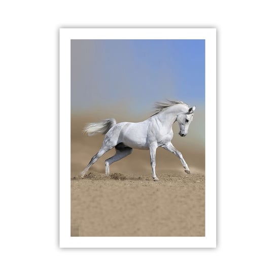 Obraz - Plakat - Najpiękniejsza arabska baśń - 50x70cm - Koń Zwierzęta Galop - Nowoczesny modny obraz Plakat bez ramy do Salonu Sypialni ARTTOR ARTTOR