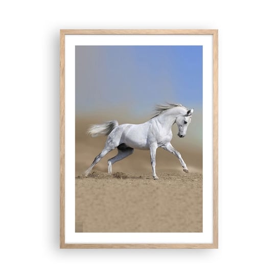 Obraz - Plakat - Najpiękniejsza arabska baśń - 50x70cm - Koń Zwierzęta Galop - Nowoczesny modny obraz Plakat rama jasny dąb ARTTOR ARTTOR