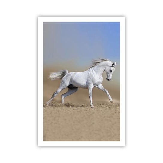 Obraz - Plakat - Najpiękniejsza arabska baśń - 61x91cm - Koń Zwierzęta Galop - Foto Plakaty na ścianę bez ramy - Plakat do Salonu Sypialni ARTTOR ARTTOR