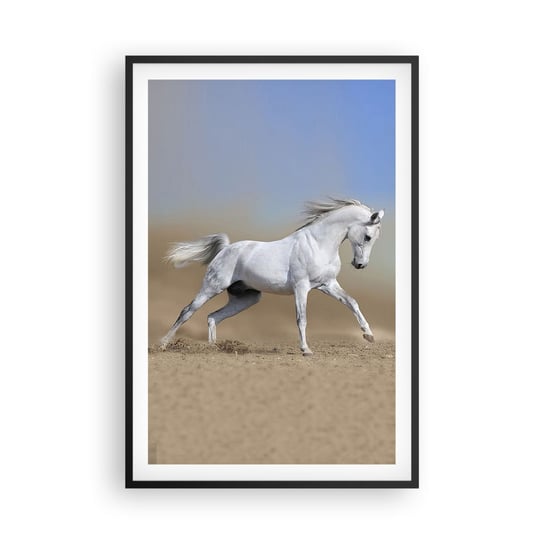 Obraz - Plakat - Najpiękniejsza arabska baśń - 61x91cm - Koń Zwierzęta Galop - Foto Plakaty na ścianę w czarnej ramie - Plakat do Salonu Sypialni ARTTOR ARTTOR