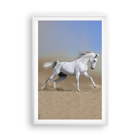 Obraz - Plakat - Najpiękniejsza arabska baśń - 61x91cm - Koń Zwierzęta Galop - Foto Plakaty na ścianę w ramie białej - Plakat do Salonu Sypialni ARTTOR ARTTOR