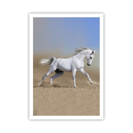Obraz - Plakat - Najpiękniejsza arabska baśń - 70x100cm - Koń Zwierzęta Galop - Foto Plakaty bez ramy na ścianę do Salonu Sypialni ARTTOR ARTTOR