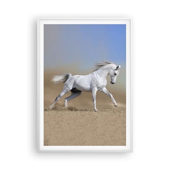 Obraz - Plakat - Najpiękniejsza arabska baśń - 70x100cm - Koń Zwierzęta Galop - Foto Plakaty w ramie koloru białego do Salonu Sypialni ARTTOR ARTTOR