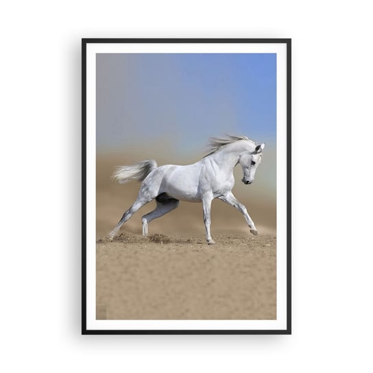 Obraz - Plakat - Najpiękniejsza arabska baśń - 70x100cm - Koń Zwierzęta Galop - Foto Plakaty w ramie koloru czarnego do Salonu Sypialni ARTTOR ARTTOR
