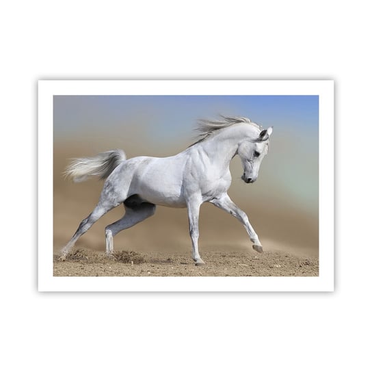 Obraz - Plakat - Najpiękniejsza arabska baśń - 70x50cm - Koń Zwierzęta Galop - Nowoczesny modny obraz Plakat bez ramy do Salonu Sypialni ARTTOR ARTTOR