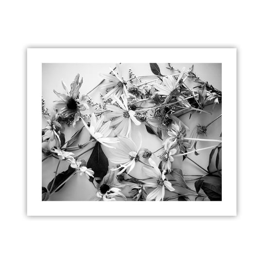 Obraz - Plakat - Nie-bukiet kwiatów - 50x40cm - Kwiaty Czarno-Biały Natura - Foto Plakaty bez ramy do Salonu Sypialni ARTTOR ARTTOR
