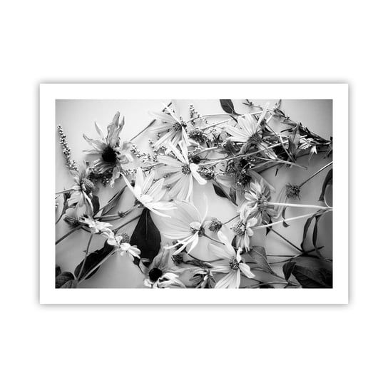 Obraz - Plakat - Nie-bukiet kwiatów - 70x50cm - Kwiaty Czarno-Biały Natura - Nowoczesny modny obraz Plakat bez ramy do Salonu Sypialni ARTTOR ARTTOR
