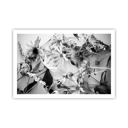 Obraz - Plakat - Nie-bukiet kwiatów - 91x61cm - Kwiaty Czarno-Biały Natura - Foto Plakaty na ścianę bez ramy - Plakat do Salonu Sypialni ARTTOR ARTTOR