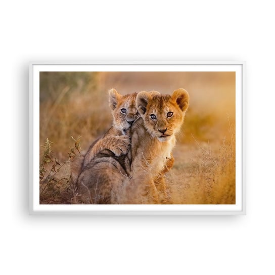 Obraz - Plakat - Nie przeszkadzać! Bawimy się - 100x70cm - Zwierzęta Lew Afryka - Foto Plakaty w ramie koloru białego do Salonu Sypialni ARTTOR ARTTOR