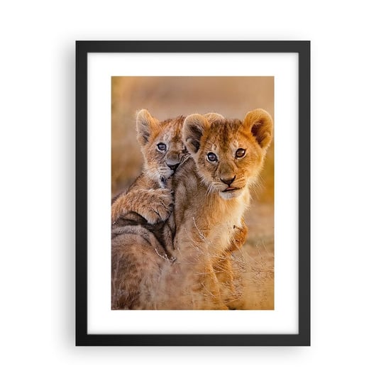 Obraz - Plakat - Nie przeszkadzać! Bawimy się - 30x40cm - Zwierzęta Lew Afryka - Foto Plakaty na ścianę w czarnej ramie - Plakat do Salonu Sypialni ARTTOR ARTTOR