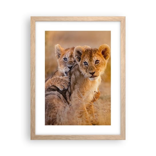 Obraz - Plakat - Nie przeszkadzać! Bawimy się - 30x40cm - Zwierzęta Lew Afryka - Foto Plakaty na ścianę w ramie jasny dąb - Plakat do Salonu Sypialni ARTTOR ARTTOR