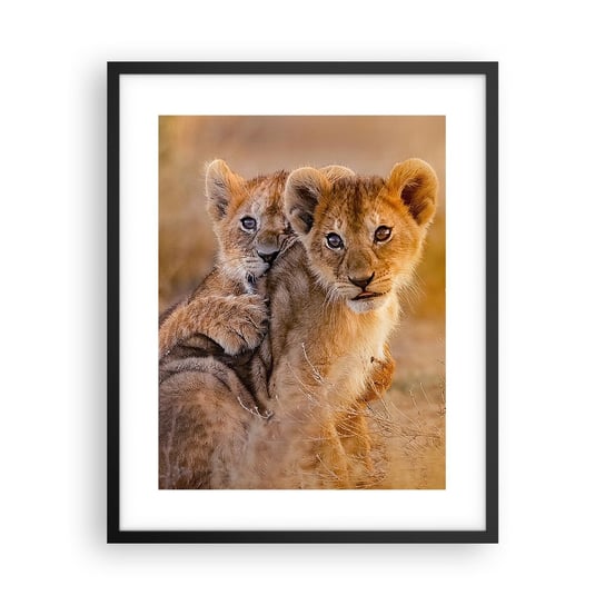 Obraz - Plakat - Nie przeszkadzać! Bawimy się - 40x50cm - Zwierzęta Lew Afryka - Foto Plakaty w ramie koloru czarnego do Salonu Sypialni ARTTOR ARTTOR