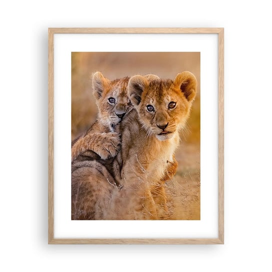 Obraz - Plakat - Nie przeszkadzać! Bawimy się - 40x50cm - Zwierzęta Lew Afryka - Foto Plakaty w ramie koloru jasny dąb do Salonu Sypialni ARTTOR ARTTOR