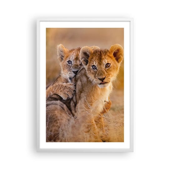 Obraz - Plakat - Nie przeszkadzać! Bawimy się - 50x70cm - Zwierzęta Lew Afryka - Nowoczesny modny obraz Plakat rama biała ARTTOR ARTTOR