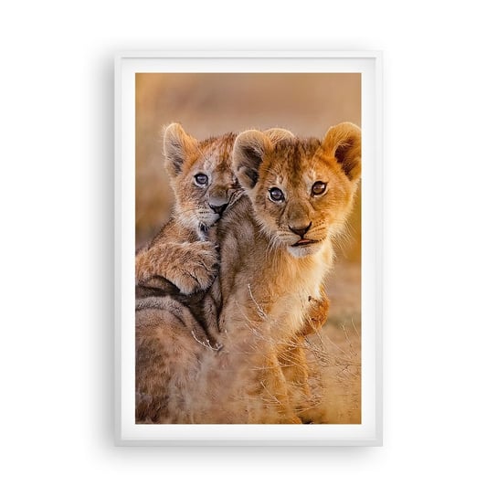 Obraz - Plakat - Nie przeszkadzać! Bawimy się - 61x91cm - Zwierzęta Lew Afryka - Foto Plakaty na ścianę w ramie białej - Plakat do Salonu Sypialni ARTTOR ARTTOR