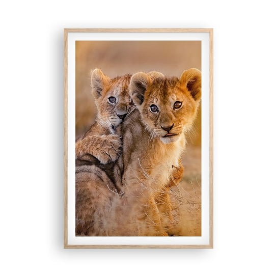 Obraz - Plakat - Nie przeszkadzać! Bawimy się - 61x91cm - Zwierzęta Lew Afryka - Foto Plakaty na ścianę w ramie jasny dąb - Plakat do Salonu Sypialni ARTTOR ARTTOR