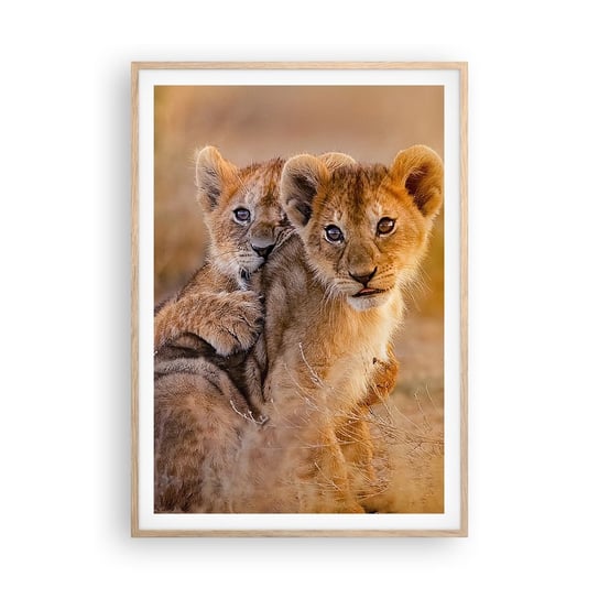Obraz - Plakat - Nie przeszkadzać! Bawimy się - 70x100cm - Zwierzęta Lew Afryka - Foto Plakaty w ramie koloru jasny dąb do Salonu Sypialni ARTTOR ARTTOR