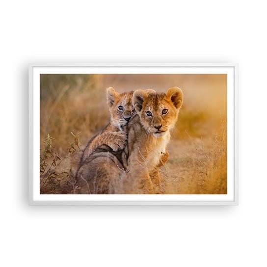 Obraz - Plakat - Nie przeszkadzać! Bawimy się - 91x61cm - Zwierzęta Lew Afryka - Foto Plakaty na ścianę w ramie białej - Plakat do Salonu Sypialni ARTTOR ARTTOR