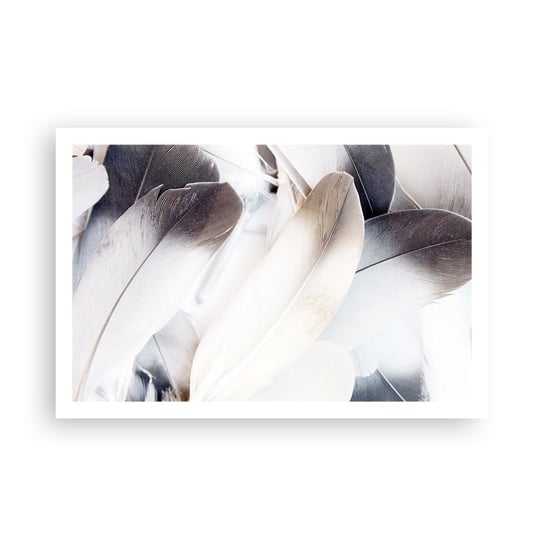 Obraz - Plakat - Niemal anielskie - 91x61cm - Pióra  Minimalistyczny Delikatny - Foto Plakaty na ścianę bez ramy - Plakat do Salonu Sypialni ARTTOR ARTTOR