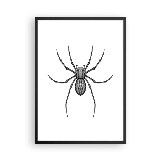 Obraz - Plakat - Niepokojąca precyzja - 50x70cm - Pająk Owad Minimalistyczny - Nowoczesny modny obraz Plakat czarna rama ARTTOR ARTTOR