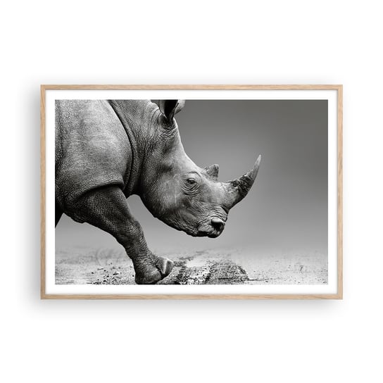 Obraz - Plakat - Niepowstrzymana siła - 100x70cm - Nosorożec Zwierzęta Afryka - Foto Plakaty w ramie koloru jasny dąb do Salonu Sypialni ARTTOR ARTTOR