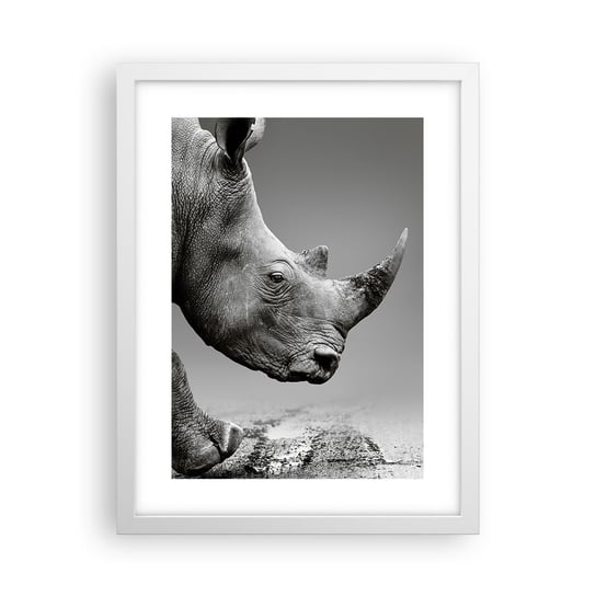 Obraz - Plakat - Niepowstrzymana siła - 30x40cm - Nosorożec Zwierzęta Afryka - Foto Plakaty na ścianę w ramie białej - Plakat do Salonu Sypialni ARTTOR ARTTOR