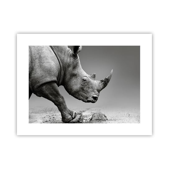 Obraz - Plakat - Niepowstrzymana siła - 40x30cm - Nosorożec Zwierzęta Afryka - Foto Plakaty na ścianę bez ramy - Plakat do Salonu Sypialni ARTTOR ARTTOR