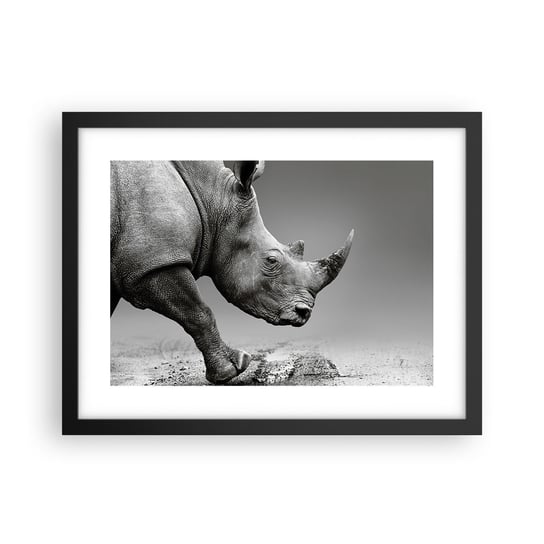 Obraz - Plakat - Niepowstrzymana siła - 40x30cm - Nosorożec Zwierzęta Afryka - Foto Plakaty na ścianę w czarnej ramie - Plakat do Salonu Sypialni ARTTOR ARTTOR