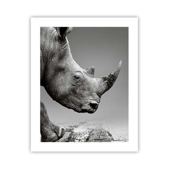 Obraz - Plakat - Niepowstrzymana siła - 40x50cm - Nosorożec Zwierzęta Afryka - Foto Plakaty bez ramy do Salonu Sypialni ARTTOR ARTTOR